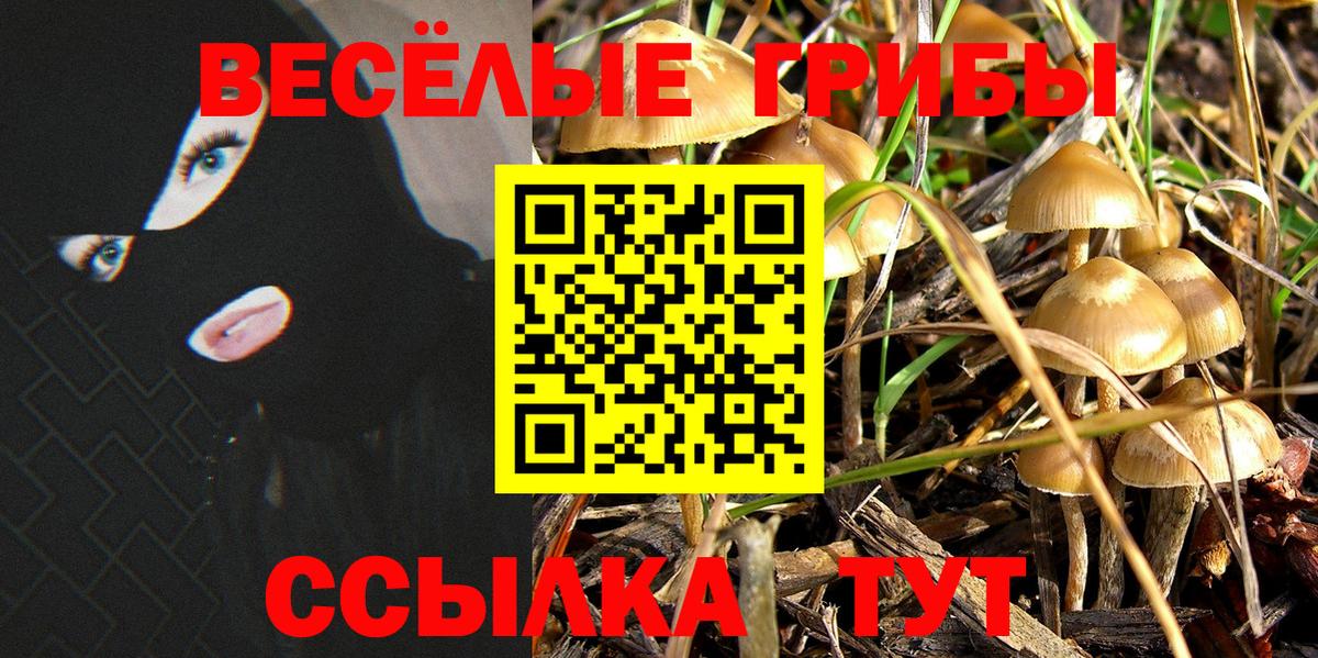 Псилоцибиновые грибы мухоморы  Вход с VPN  Заволжье 